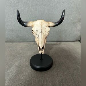 Decorative Bull Skull with Black Horns